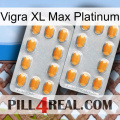 Vigra Xl Max Platinum cialis4